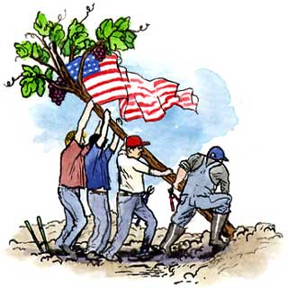 Raising the viticultural flag over American terroir